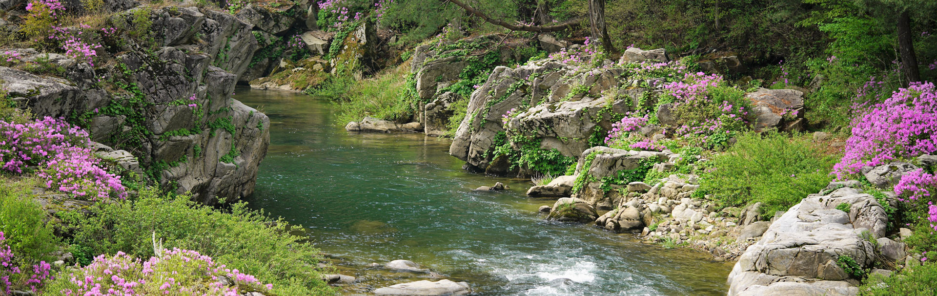 私たちの経験と技術を未来へ継承する